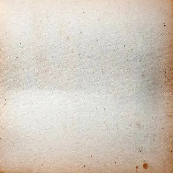 18204669-0-RKCPMNxP.webp