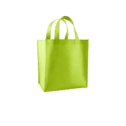 Non Woven Loop Handle Bag, Pattern Plain