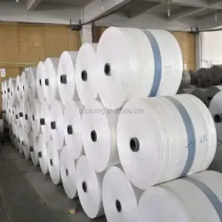 PP Woven Fabric, Material pp