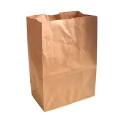 Paper Bags, Capacity 2kg