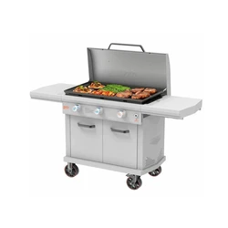 Stainless Steel Gas Grill