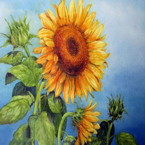 sunflower-canvas-painting-1.webp
