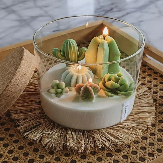 succulent-soy-candle-2.webp