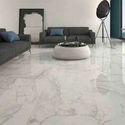 Double-Charge Vitrified Tiles