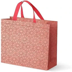 Shopping Promotional Bags