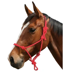 Horse Rope Bridle