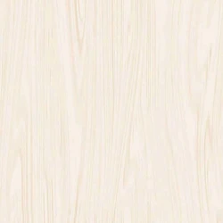 Polished Vitrified Flooring Tiles
