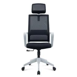 Adjustable Staff Chair