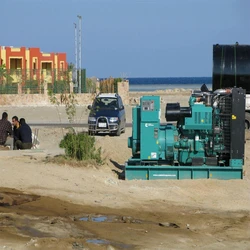 Diesel engine generator