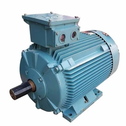 Industrial Electric Motors