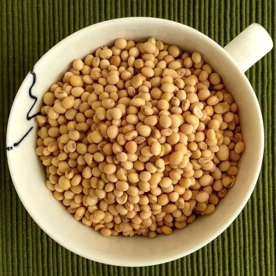 organic-natural-soya-bean-2.webp