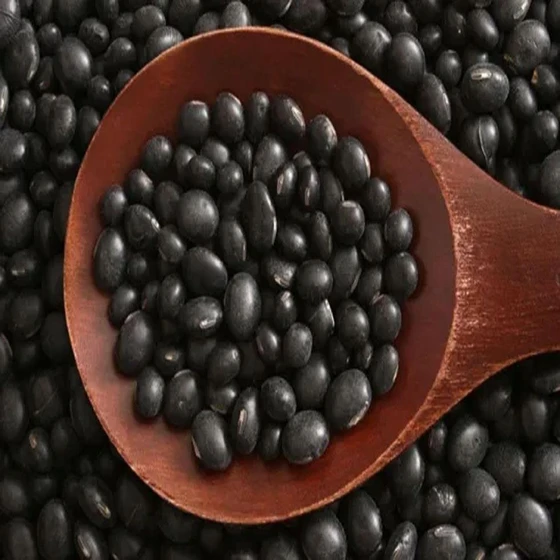 black-dried-soya-beans-2.webp