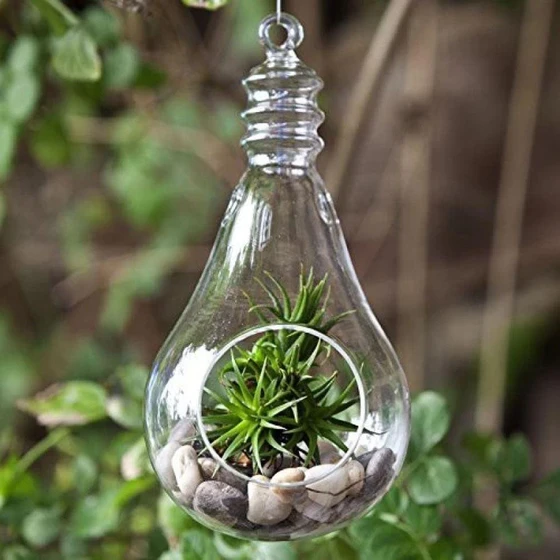 glass-hanging-planter-2.webp