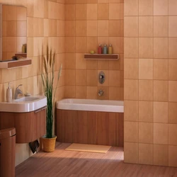 Bathroom Floor Tiles