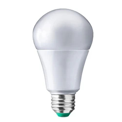 Transparent LED Bulb