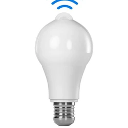 Motion Sensor Bulb