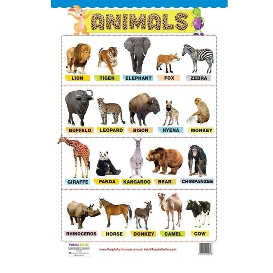 animal-wall-chart-2.webp