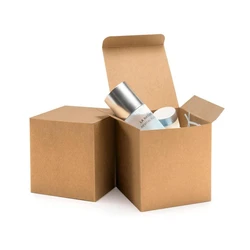 Brown Paper Box