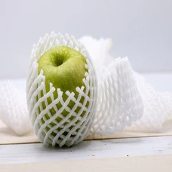 Fruit EPE Net