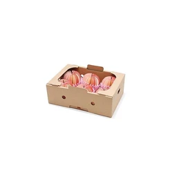 Packaging Fruits Box