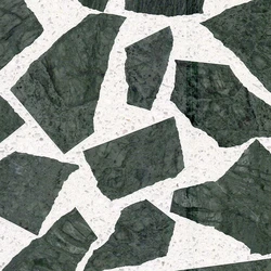 Polished Mosaic Tiles