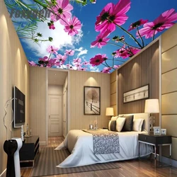 Pvc Stretch Ceiling