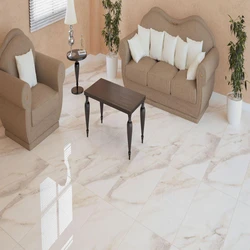 Glazed Vitrified Tiles