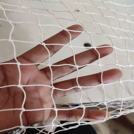 plain-anti-bird-net-2.webp