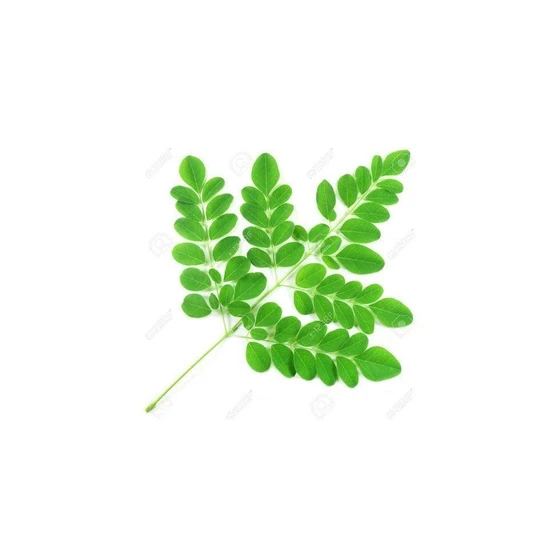 moringa-leaves-2.webp