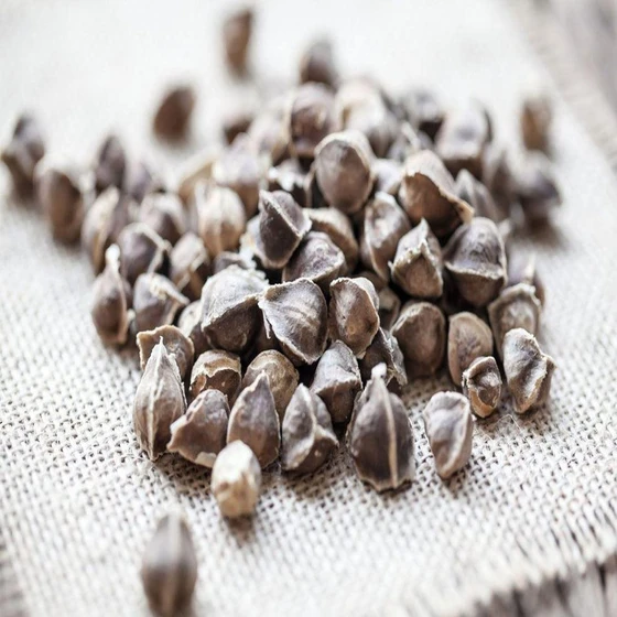 organic-moringa-seed-2.webp