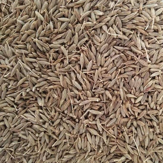 organic-cumin-seeds-2.webp