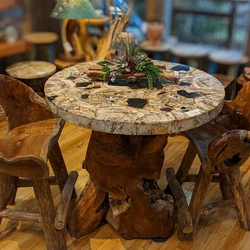Petrified Wood Table
