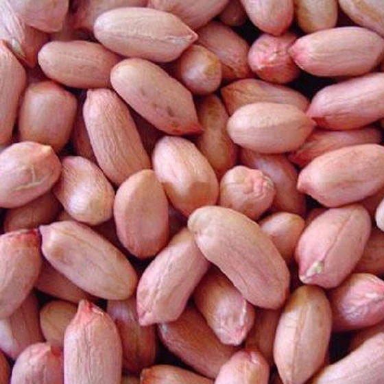ground-nut-peanut-kernel-1.webp