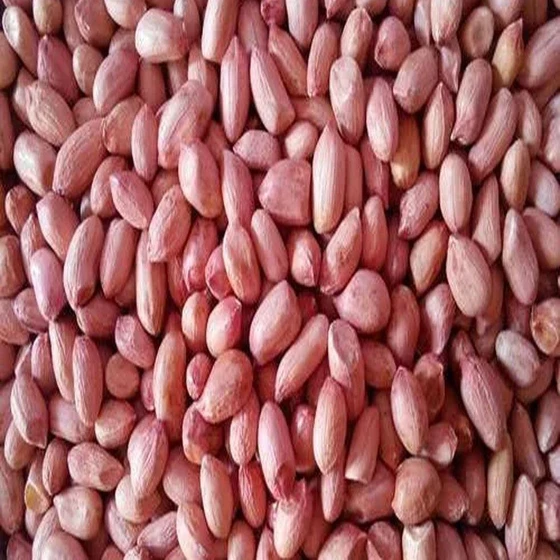 ground-nut-peanut-kernel-2.webp