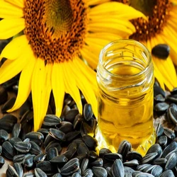 Sunflower Organic Seed Oil