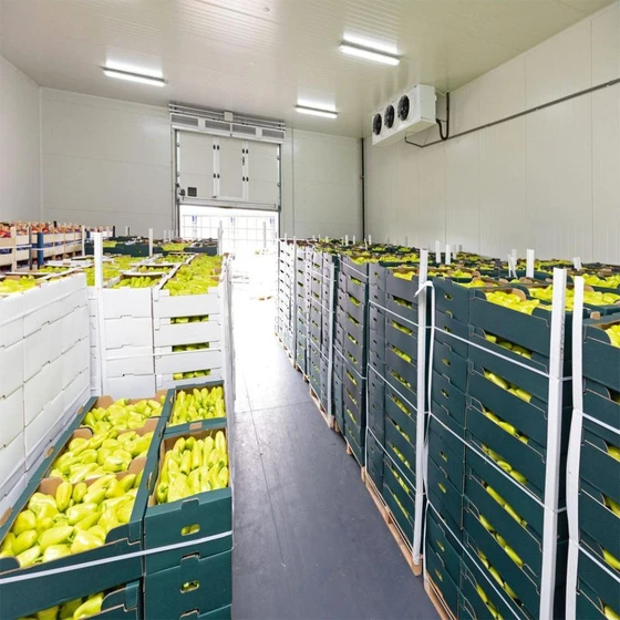atmosphere-cold-storage-2.webp