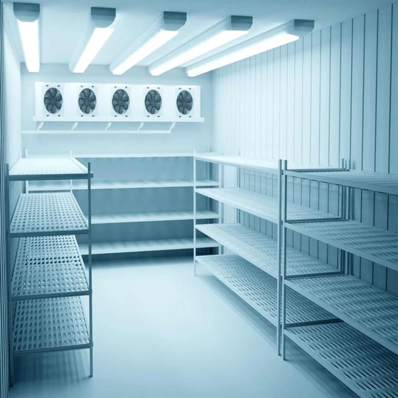 commercial-cold-storage-2.webp