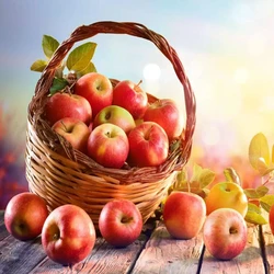 Fresh Organic Apple