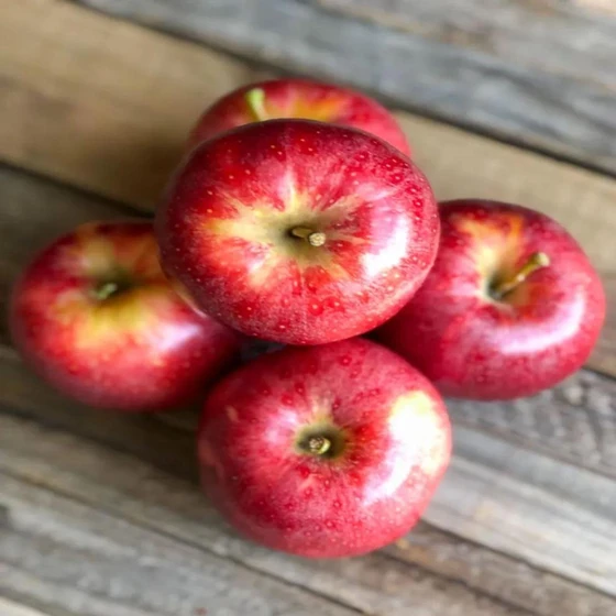 healthy-round-apple-fruits-2.webp