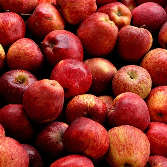 delicious-apple-fruit-2.webp