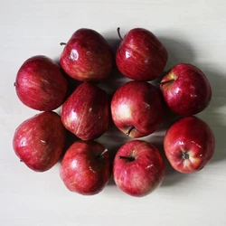 Delicious Apple Fruit