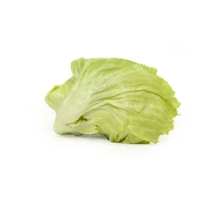 Fresh Lettuce Iceberg