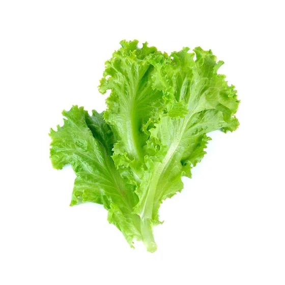 fresh-lettuce-leafy-2.webp