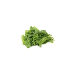 Fresh Lettuce Leafy