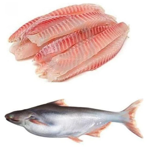 pangas-basa-fish-2.webp