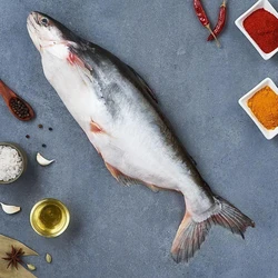 Pangas Basa Fish