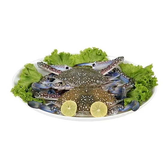 healthy-sea-crab-1.webp