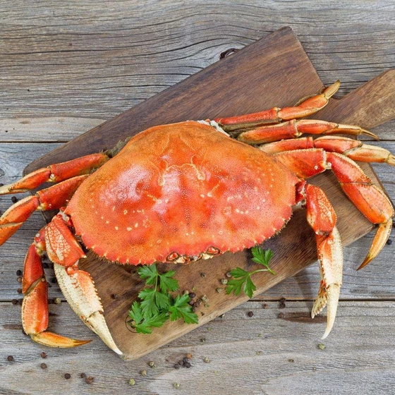 healthy-sea-crab-2.webp