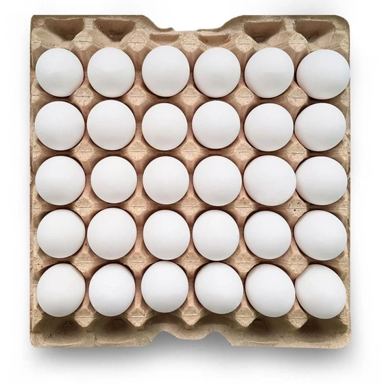 fresh-poultry-egg-1.webp