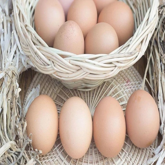 vitamin-enhanced-egg-2.webp